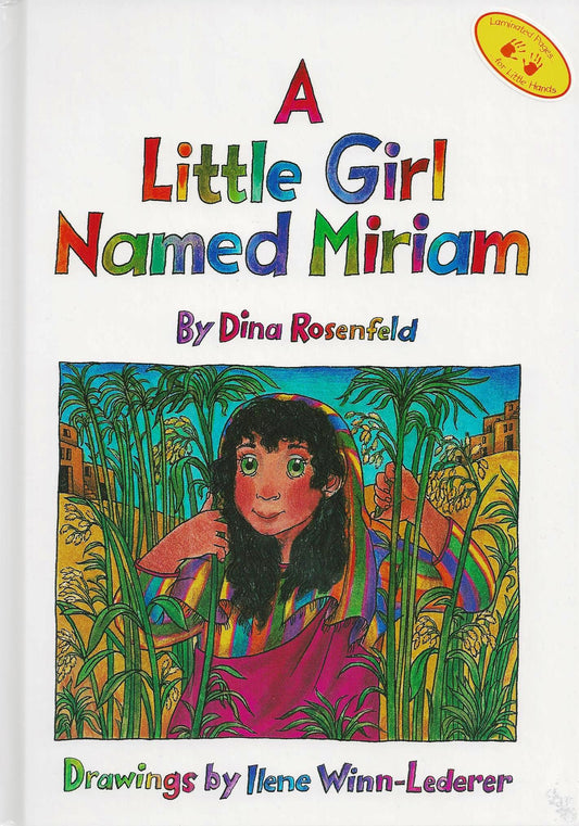 cover of A Little Girl Named Miriam