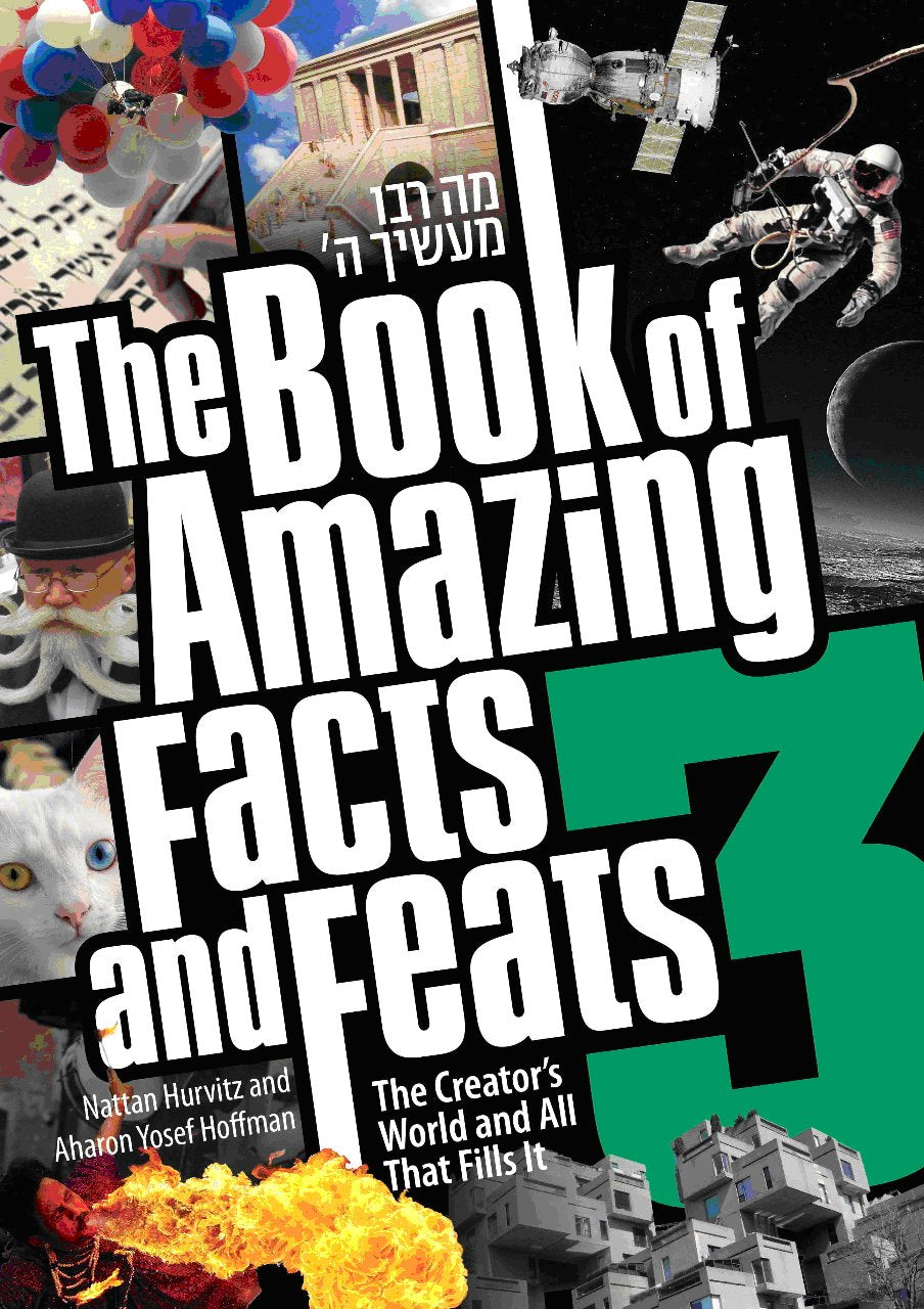 The Book of Amazing Facts and Feats 3